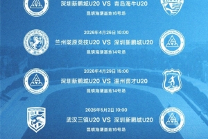 fm2014 范佩西不进球