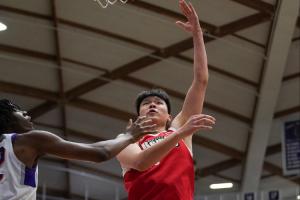 1946年对NBA什么