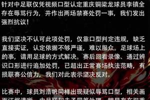 齐达内世界杯绝唱