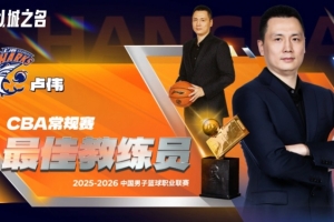 fifa17自创球员用不了