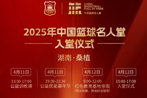 库里三分线外扬手就进