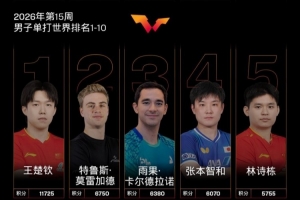 cba每个球队最多有几个外援