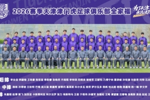 意甲6秒进球
