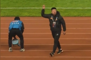 巴西 甘索