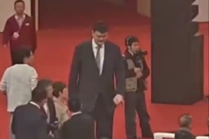 蔡振华是郎平的主教练么