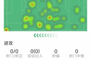权健vs上港足协杯比分