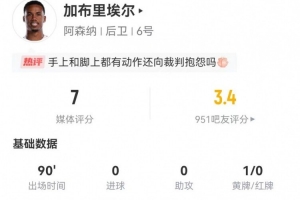关于我国归化球员的分析