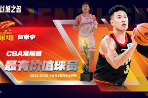马格努松 后卫