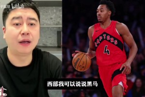 大史谈东西部黑马：西部开拓者，东部步行者看哈利伯顿状态~