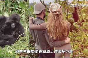 乐福妻子凯特，NBA太太团里不输肯达尔·詹娜的那一位